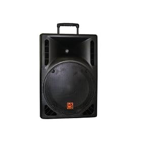 Mr Dj PBS1600 1600 Watts Max, 12-Inch DJ Speaker