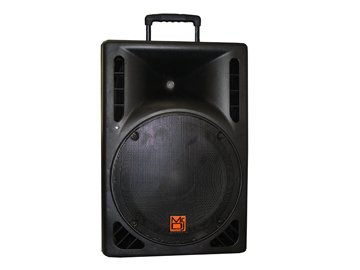 Mr Dj PBS1609MP3 1600 Watts Max, 12-Inch DJ Speaker with Built-In Amplifier and 5-Band EQ