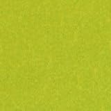 So Silk Cover Shocking Green 12x18 92lb 250g 100 pkg