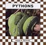 Pythons (Snakes) (Checkerboard Bood)