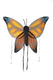 Wings Child Butterfly Ornge