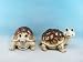 Garden Turtle 10.25in Set of 2 Assorted