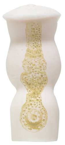 LOVE BODY aki 専用ホール Versus