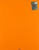 Evangelion 2.22 You Can [Not] Advance [Blu-ray]