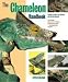 Barrons Books The Chameleon Handbook