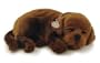 Chocolate Lab Animated Pet