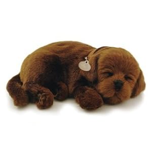 Perfect Petzzz Chocolate Lab by Perfect Petzzz