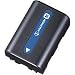 Sony NP-FM50 InfoLithium Battery for Select Sony Camcorders & Digital Cameras