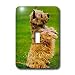 Dogs Cairn Terrier - Cairn Terrier - Light Switch Covers - single toggle switch