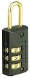 Master Lock 646D Luggage Lock, Set Your Own Combination, Black Finish, 1-Pack