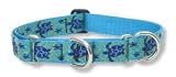 Lupine Large Martingale Style Dog Collar - Turtle Reef 15-22