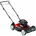 312eRpnP2VL. SL75  Common Landscaping Tools For Every Landscaper