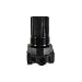 Coilhose Pneumatics MR2 Miniature Series Regulator, 1/4-Inch Pipe Size