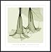 Datura, Art Poster by Steven Meyers, with Metal Frame, poster size: 28" x 27"