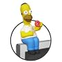 Homer Simpson Computer Sitter
