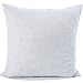 Web Linens Inc Set of 2-18 x 18-95% Feather 5% Down Pillow Insert - 210 TC - Down Proof Shell - Exclusively by Blowout Bedding RN# 142035
