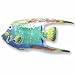 Clearly Charming Tropical Queen Angel Sterling Silver and Enamel Pin