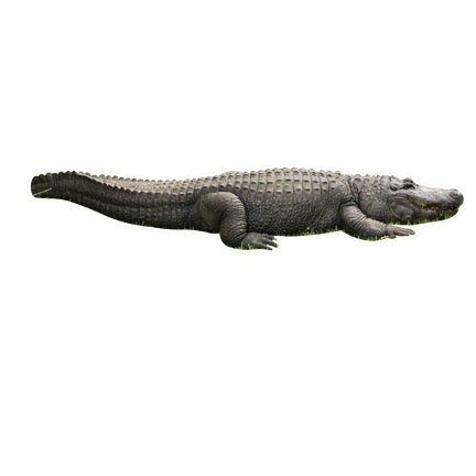  christmas HWJ01625 Alligator Graphic Sticker PosterB00B8BYQSM
