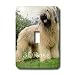 Dogs Briard - Briard - Light Switch Covers - single toggle switch