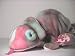 Search : TY BEANIE BABY - RAINBOW / IGGY Tie Dye Iguana w/ Hood & Tongue Plush