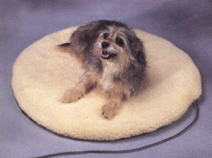 Medium Heated Pet Bed