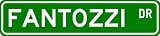 FANTOZZI Street Sign ~ Personalized Family Lastname Sign ~ Gameroom, Basement, Garage Sign Novelty** METAL ALUMINUM