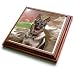 Dogs German Shepherd - German Shepherd - Trivets