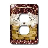 Cats - Kittens in the basket - Light Switch Covers - 2 plug outlet cover