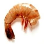 Raw Maine Shrimp with Tails - Headless 3 lbs (2 - 1 1/2 lb steamer packs)