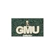 George Mason Univ "Gmu" 3/8" Charm/Pendant