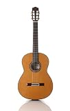 Cordoba C10 Guitar, CD/IN