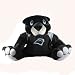 Carolina Panthers 60 Plush Mascot