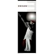 Eminen Rap Music Legend Art Door Poster 21x62