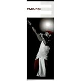 Eminen Rap Music Legend Art Door Poster 21x62