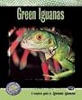 Complete Guide to Green Iguanas