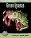 Complete Guide to Green Iguanas
