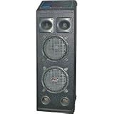 Pyle PADH21A 1000W Dual 10-Inch Speaker with Built-in 2 Channel Mixer