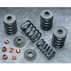 CRANE CAMS STL SPRNG RETNR KIT #155 51102