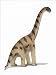 Schleich Brachiosaurus Dinosaur