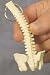 Human Spinal Column Keyring