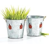 Ladybug Tin Pail/Bucket with Ladybug Accents Plant Container,Party Decor