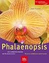 Phalaenopsis. Die schönsten Sorten - Richtig auswählen und pflegen