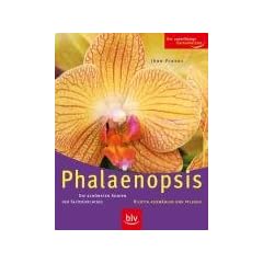 Phalaenopsis. Die sch�nsten Sorten - Richtig ausw�hlen und pflegen