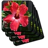 June Morning Hibiscus Red Hibiscus Flower - Set Of 8 Coasters - Soft