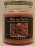 312iT2zQH5L. SL160  Beanpod Candle, Cinnamon Spice 16 oz Scented Soy Jar Candle