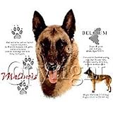 Belgian Malinois Adult T-Shirt