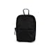 Canon PowerShot A1100IS 12.1 MP Digital Camera CaseCrown Padded Travel BLACK Camera Case (LG 4