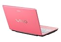 Sony VAIO VGN-C291NW/P 13.3" Laptop (Intel Core 2 Duo Processor T5500, 2 GB RAM, 160 GB Hard Drive, DVD¿RW Drive, Vista Business) Pink