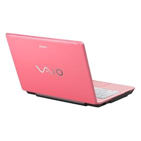 Sony VAIO VGN-C291NW/P 13.3" Laptop (Intel Core 2 Duo Processor T5500, 2 GB RAM, 160 GB Hard Drive, DVD�RW Drive, Vista Business) Pink