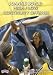 Joanne Boyle: High / Low Continuity Offense (DVD)